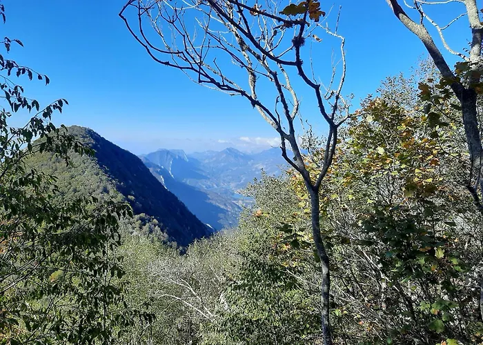 Enki'S Garden Pensión Tirana