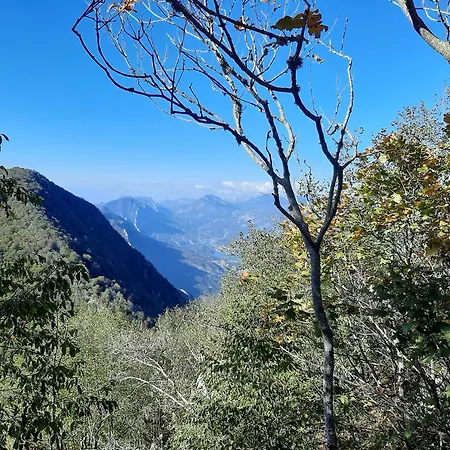Enki'S Garden Maison d'hôtes Tirana