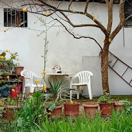 Enki's Garden Pensión Tirana