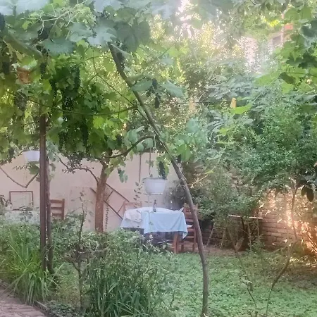 Pensión Enki's Garden 4*