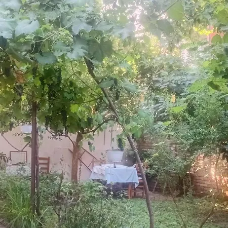 Enki's Garden Pensión Tirana