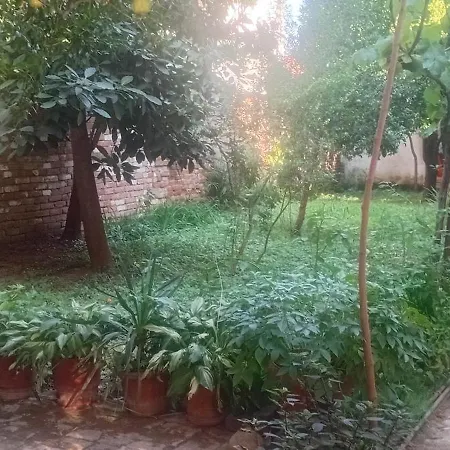 Enki's Garden Tirana