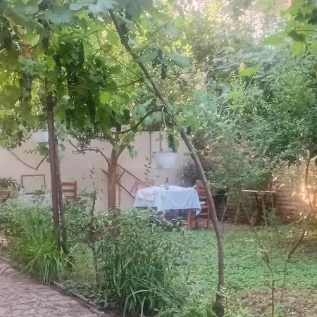 Enki's Garden