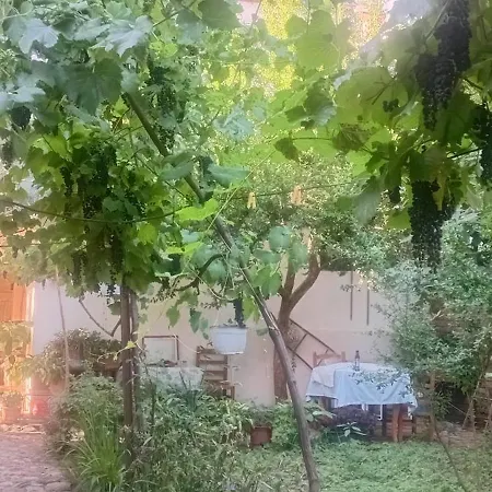 Pensión Enki's Garden
