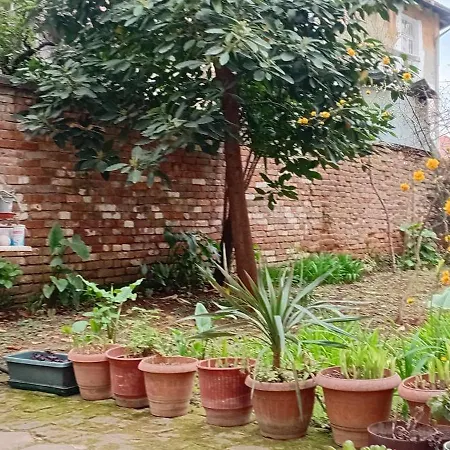 Enki's Garden Pensión 4*