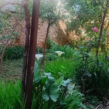 Pensión Enki's Garden 4*