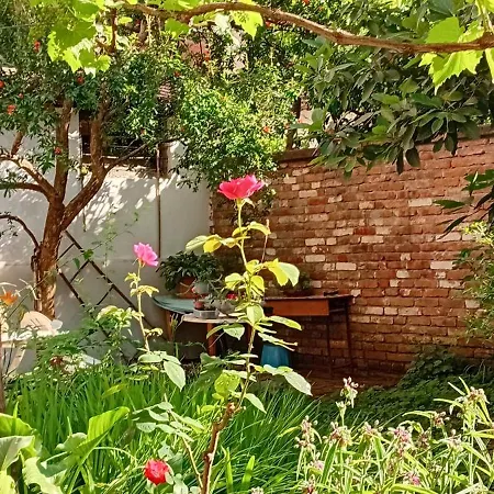 Enki's Garden Pensión Tirana