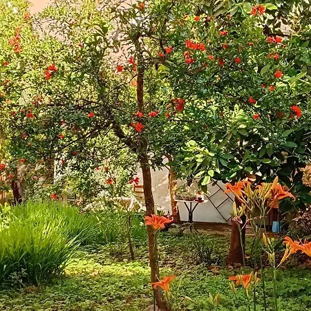 Enki's Garden 4*