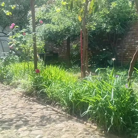 Enki's Garden Tirana