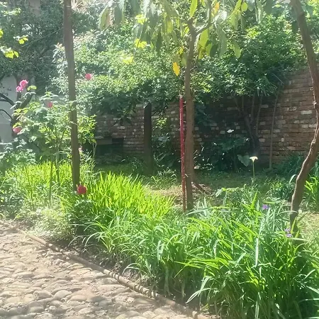Enki's Garden Pensión 4*