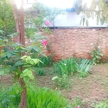 Enki's Garden Pensión Tirana
