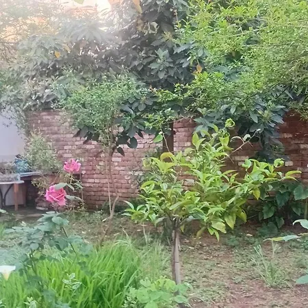 Enki's Garden 4*