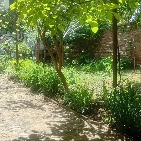 Enki's Garden Tirana
