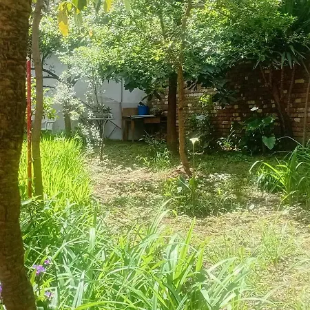 Enki's Garden Pensión Tirana