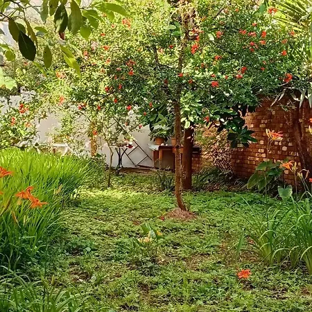 Pensión Enki's Garden Tirana