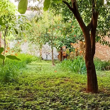 Enki's Garden Tirana