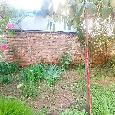 Enki's Garden
