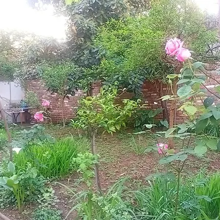 Enki's Garden Tirana